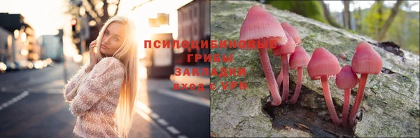 прущие грибы Абинск