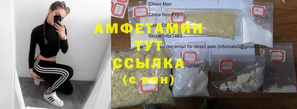 гидра Рославль