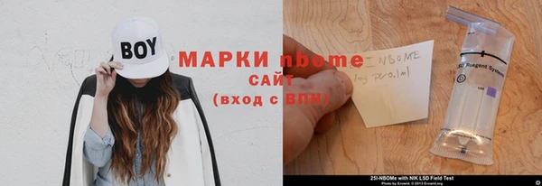 прущие грибы Абинск