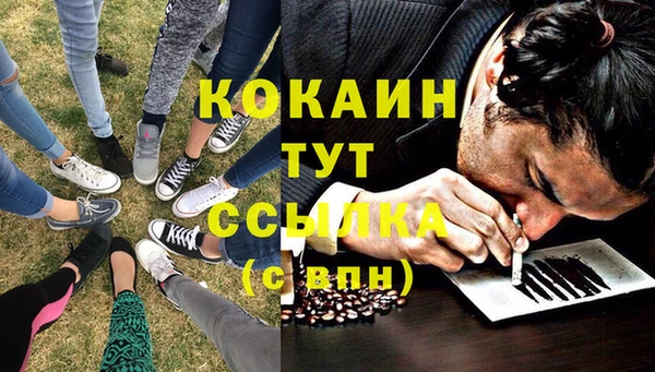 гидра Рославль